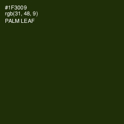 #1F3009 - Palm Leaf Color Image